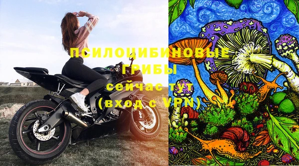 бошки Алексин