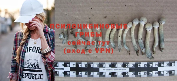 бошки Алексин