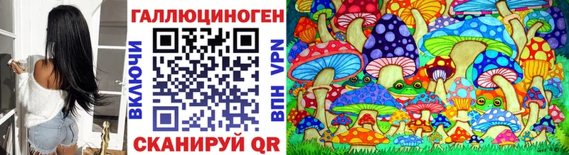 Галлюциногенные грибы Psilocybine cubensis  Моздок 